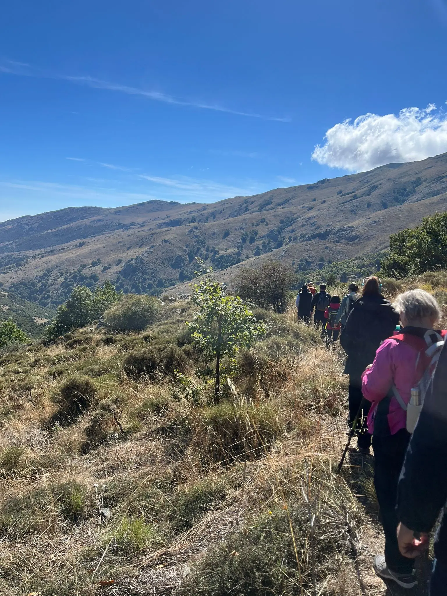 anteprima foto_05_04-10-25