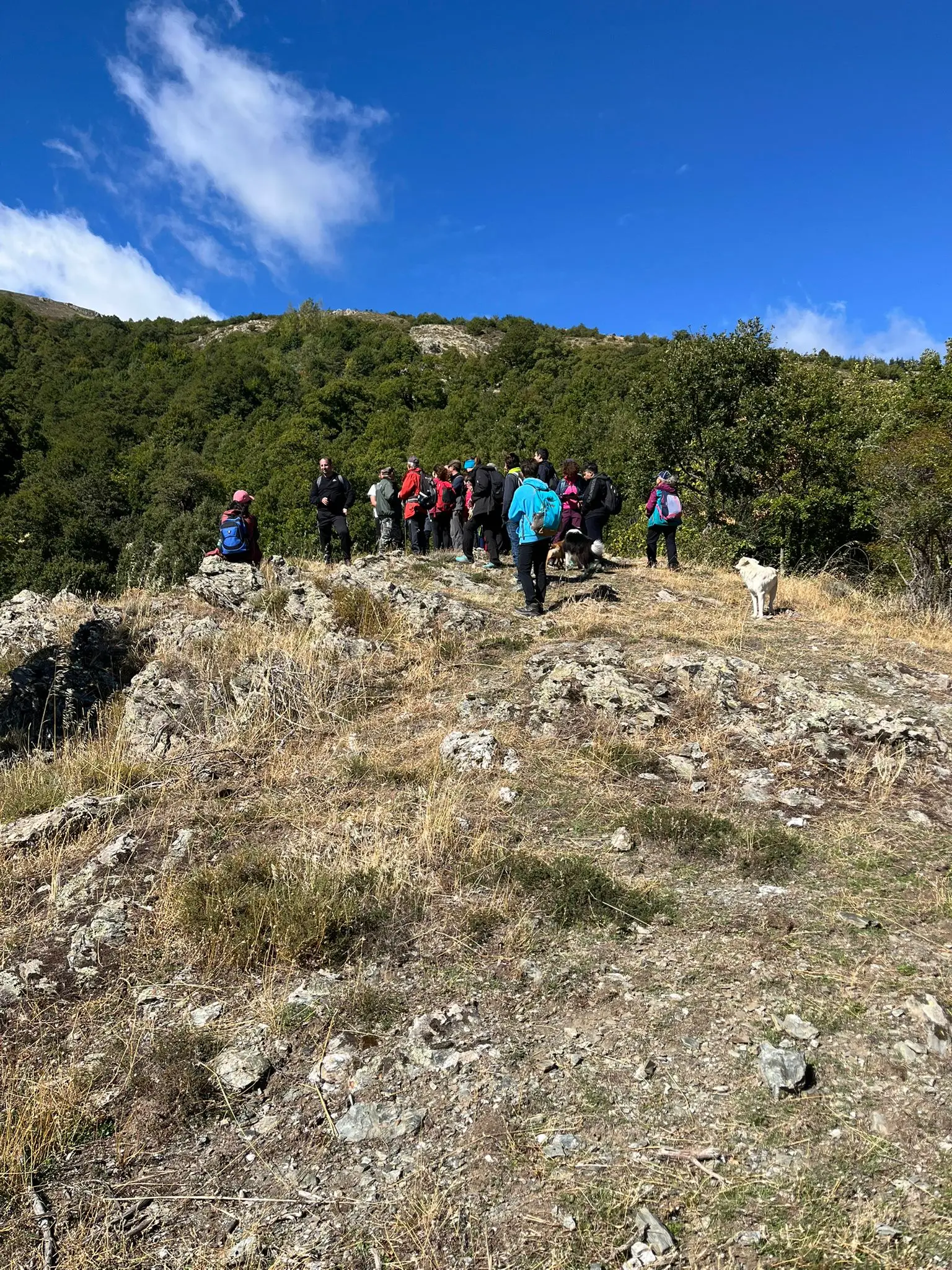 anteprima foto_04_04-10-25